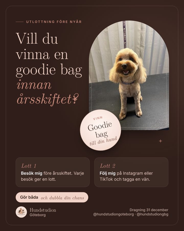 Vill du vinna en goodie bag innan årsskiftet? Besök mig före årsskiftet för en lott, följ mig på Instagram eller TikTok och tagga en vän för en lott till. Dragning 31 december.